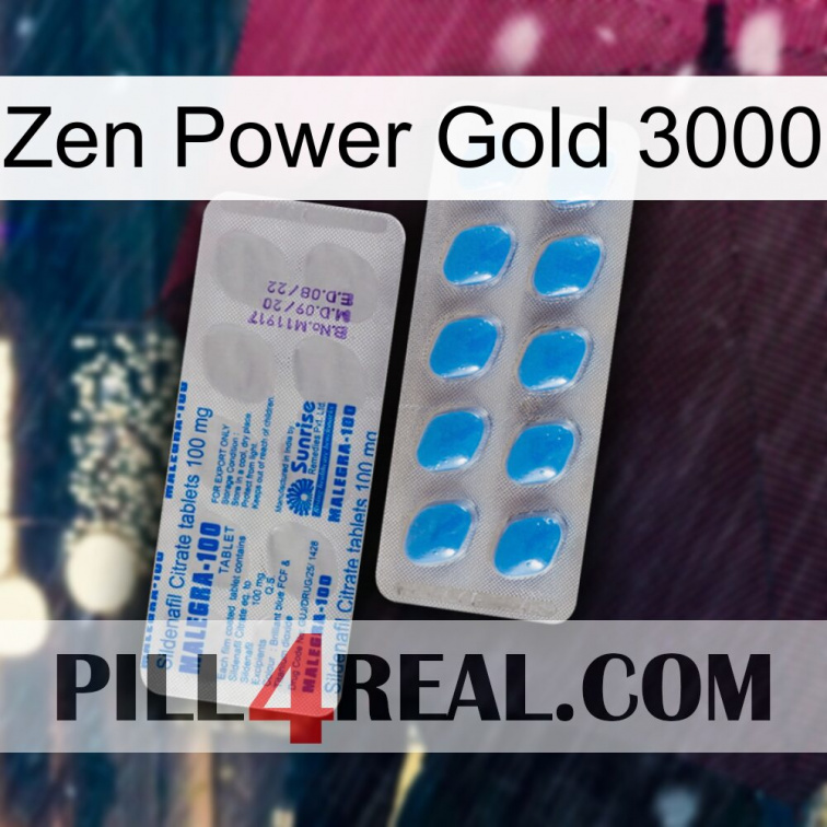 Zen Power Gold 3000 new15
